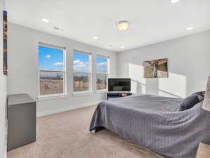 2nd floor owner's suite featuring carpet floors, recessed lighting, views