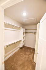 Walk in closet featuring dark colored carpet