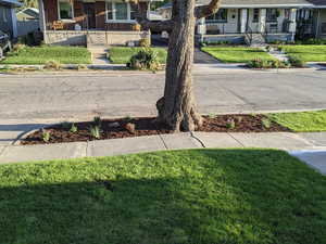 Front yard in spring with a bit of street view