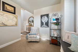 Sitting room with carpet flooring