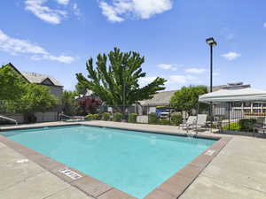 Pool with a gazebo and fence