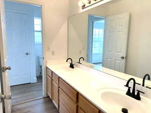 Bathroom with plenty of natural light, a sink, and toilet