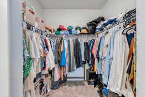 Spacious closet featuring carpet