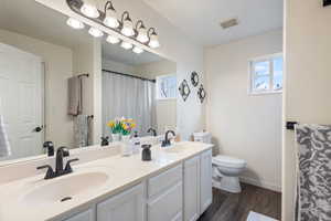 Bathroom with vanity, hardwood / wood-style flooring, and toilet