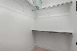 Spacious closet featuring light carpet