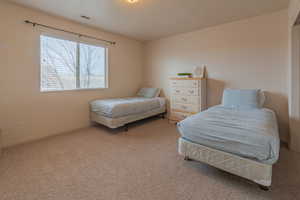 Bedroom with carpet flooring, visible vents, and baseboards