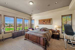 Bedroom featuring a raised ceiling, multiple windows, and light carpet