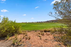 View of undeveloped land