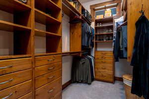 Spacious closet featuring light carpet