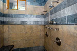 Bathroom with a tile shower