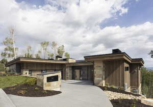 View of front of property with stone siding and concrete driveway