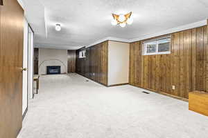 Basement with new carpets and fireplace