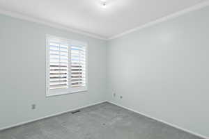 Bedroom with crown molding and Plantation Shutters