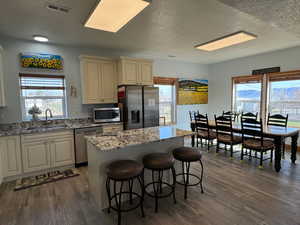 Kitchen with stainless steel appliances, dark wood-style flooring, a sink, visible vents, and a center island