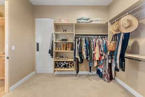 Spacious closet featuring light carpet