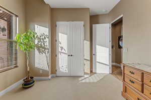 Interior space featuring light carpet, multiple windows, and baseboards