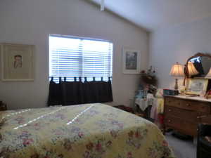 Bedroom with carpet flooring and lofted ceiling