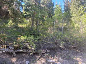 View of landscape featuring a view of trees