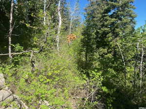 View of landscape featuring a wooded view