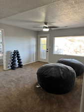 Basement family room