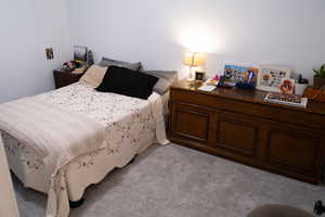 Bedroom featuring light colored carpet