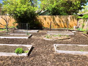 Garden area