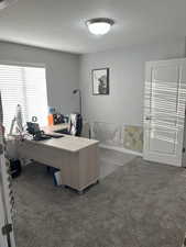 Office area with a textured ceiling and dark carpet