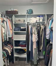 Spacious closet with dark carpet