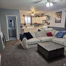 Living room featuring carpet, ceiling fan, a textured ceiling, and heating unit