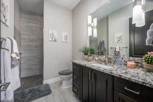 Full bathroom with toilet, vanity, wood finished floors, baseboards, and walk in shower