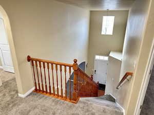 Stairs featuring carpet floors and baseboards