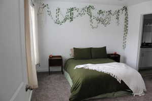 Bedroom with dark colored carpet