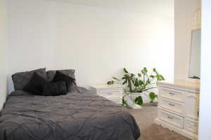 Bedroom with light colored carpet