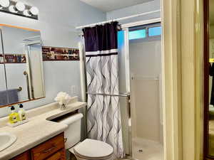 Bathroom with toilet, a shower stall, and vanity