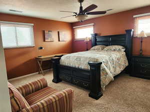 Bedroom with multiple windows, visible vents, and a textured ceiling