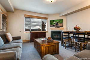 Living room with carpet floors, baseboards, and a gas fireplace