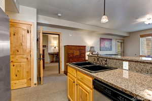 Kitchen with light stone counters, appliances with stainless steel finishes, light carpet, a sink