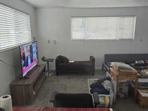 Unit 1 Carpeted living room with a healthy amount of sunlight