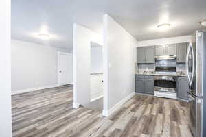 Kitchen featuring light wood-style flooring, appliances with stainless steel finishes, gray cabinets, under cabinet range hood, and backsplash