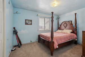 Bedroom featuring light colored carpet