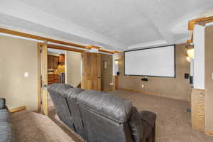 Home theater room with ornamental molding, light carpet, a textured ceiling, and baseboards