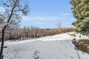 View of snowy yard