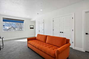 Living area featuring baseboards, dark carpet, a textured ceiling, and recessed lighting