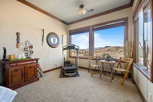 Exercise room with light colored carpet, visible vents, a mountain view, and baseboards