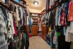 Spacious closet with light carpet