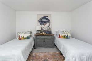 Bedroom with dark colored carpet