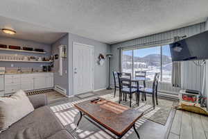 Living room with a textured ceiling, light wood finished floors, and a baseboard radiator