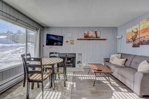 Living area featuring a fireplace, a textured ceiling, baseboard heating, and wood finished floors