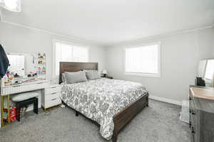 Bedroom featuring baseboards, carpet flooring, and ornamental molding