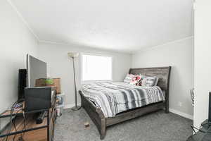 Bedroom with crown molding, carpet floors, a textured ceiling, and baseboards